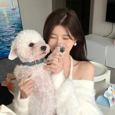 冒牌刺客 在线观看