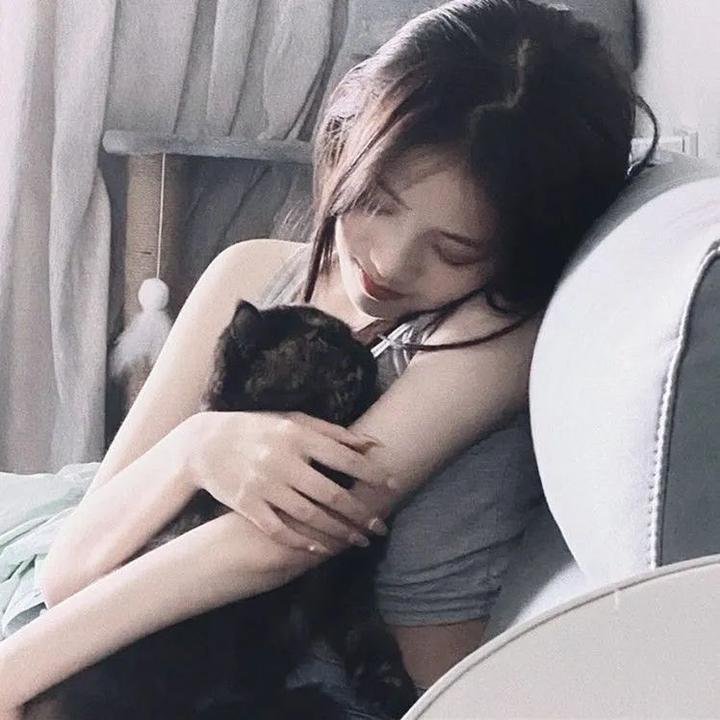 迷蝶 在线观看