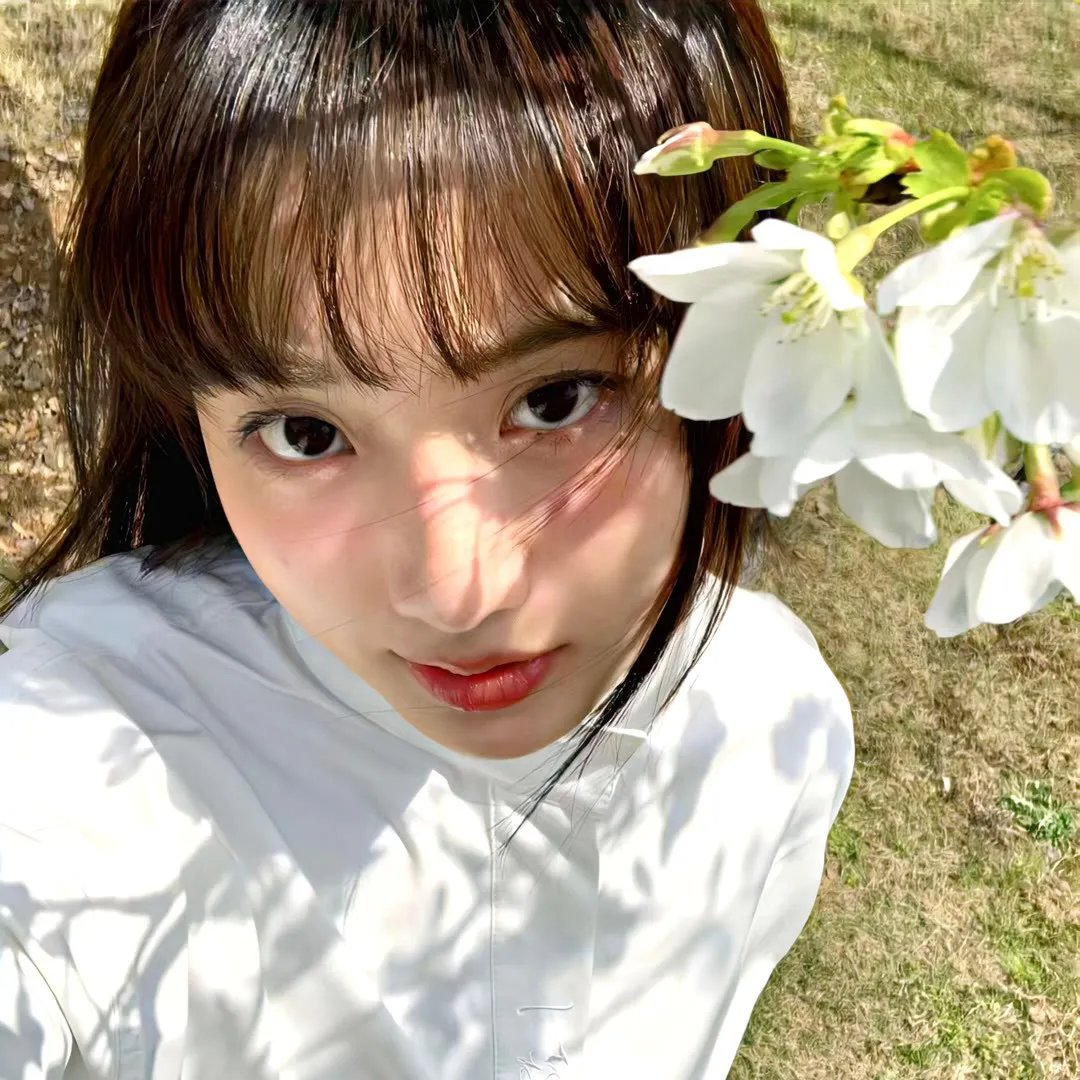 摩哈维的月亮 在线观看