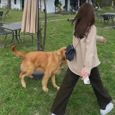 师父!我要跳舞了第二季 在线观看